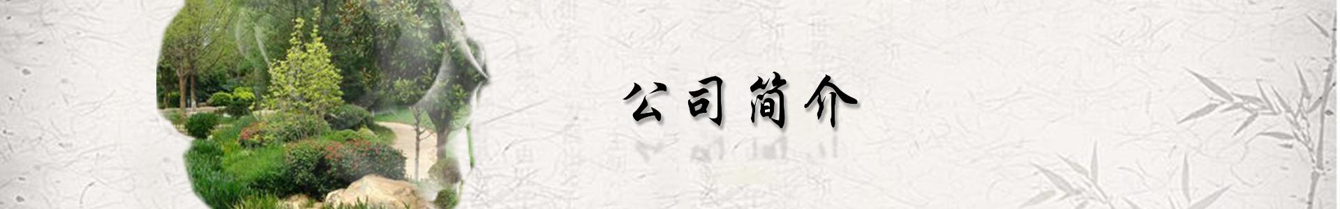 未标题-5